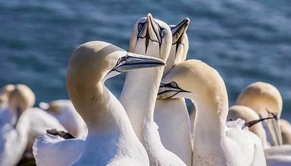 华体会官网：体育世界的一站式体验，点亮你的热血每一天